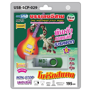 MP3 Flashdrive เสียง พิณซิ่ง เมดเล่ย์ เบรคแตก ชุด 6