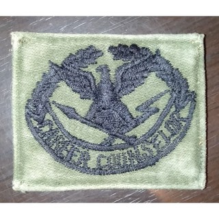 อาร์มทหารอเมริกา us army patch สงครามเวียดนาม