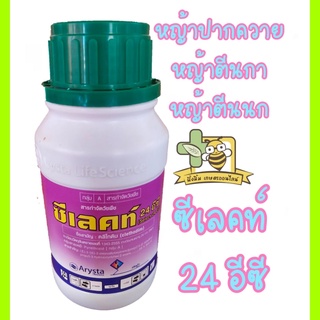 ซีเลคท์ 24 อีซี 24 % W/V EC ยาฆ่าหญ้าใบแคบ กำจัดหญ้าปากควาย ขนาด250,500cc  (คลีโทดิม)