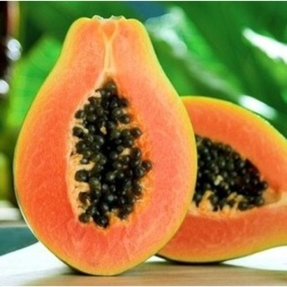 Papaya Enzyme 20g 004905