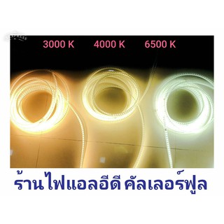 (ตัดได้ทุกฯ10 ซม)ไฟเส้น Heavy Duty LED strip ST-2835 220v IP67 กันน้ำ 100l/m  แบ่งขายเป๊นเมตร