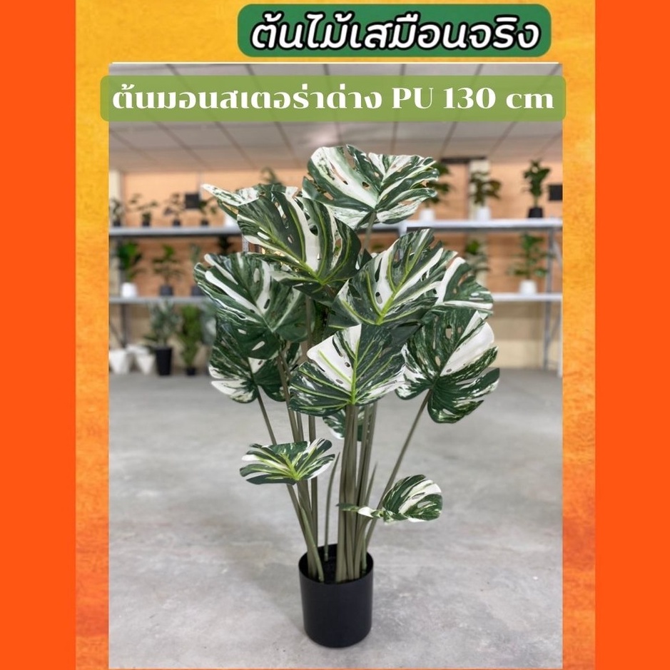 ต้นไม้ประดิษฐ์ ต้นไม้ปลอม ต้นมอนสเตอร่าด่างงาน PU สูง 80 cm / 100 cm / 130 cm