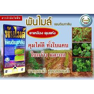 🌱 สารกำจัดวัชพืช พันไมล์  (เพนดิเมทาลิน 33%)