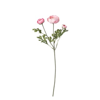 ดอกไม้ประดิษฐ์ ดอก Ranunculus/ชมพู 52 ซม.