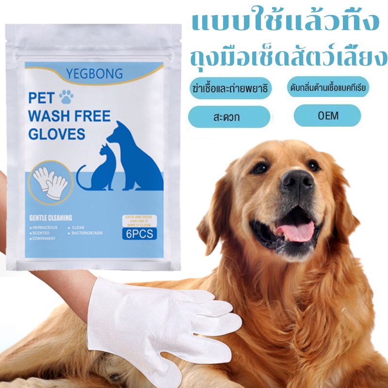 #ถุงมือทำความสะอาดสัตว์เลี้ยง #อุปกรณ์อาบน้ำสัตว์เลี้ยง #ของใช้ในบ้านสำหรับสัตว์เลี้ยง #สินค้าขายดีสำหรับสัตว์เลี้ยง #เครื่องมือดูแลสัตว์เลี้ยง