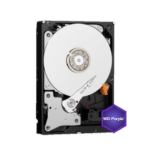 WD HDD AV 1TB SATA3(6Gb/s) 64MB CACHE 3Y (new code)