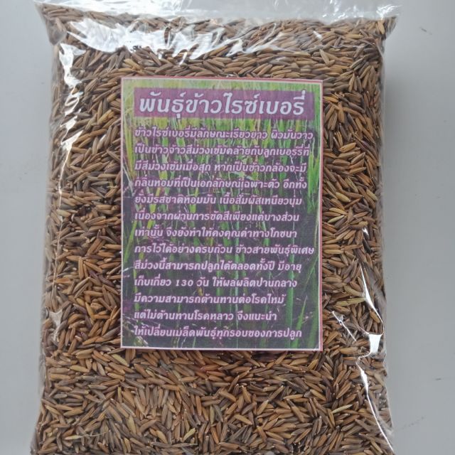 พันธุ์ เมล็ดพันธุ์คุณภาพสูงในสต็อกในประเทศไทย พร้อมส่ง ะให้ความสนใจของคุณข้าวไรซ์เบอรี่ 1กิโลกรัม พันธุ์