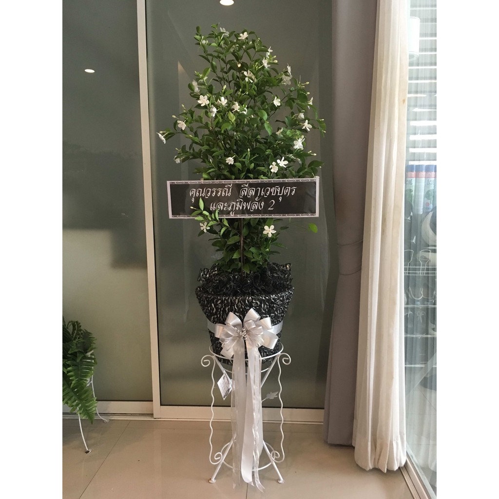 พวงหรีดต้นพุดศุภโชค พวงหรีดต้นไม้ สูงประมาณ 160-170 ซม. ส่งฟรี กทม. ส่งด่วน ถึงวัดภายในวัน