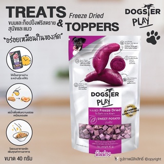 Dogster มันม่วง ขนมสุนัข ผักผลไม้อบแห้ง อร่อยเหมือนกินของสด ขนาด 40 กรัม โดย Yes Pet Shop