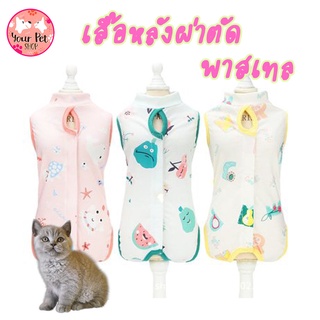 เสื้อหลังผ่าตัดสีพาสเทล ทำหมันแมว เสื้อกันเลีย  หมา สุนัข Pastel Recovery Suit