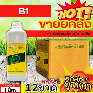 🌾 💥💥 สินค้ายกลัง 💥💥 วิตามินB1 (น้ำยาเร่งราก) ขนาด 1ลิตรx12ขวด กระตุ้นราก กิ่งตอน กระตุ้นรากฝอย