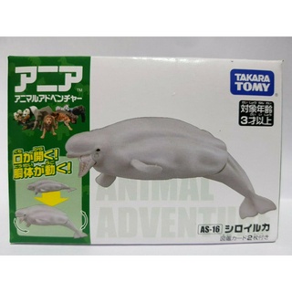 ใหม่ ฟิกเกอร์ Takara Tomy Animal Adventure Ania AS-16 Beluga White Whale