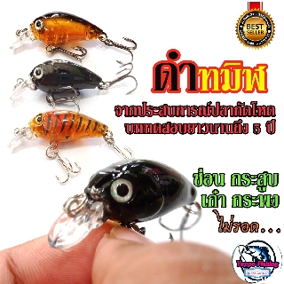 เหยื่อปลอมตกปลาเก๋า ปลั๊ก รุ่นดำทมิฬ  3.5 cm ปลากัดดุมาก