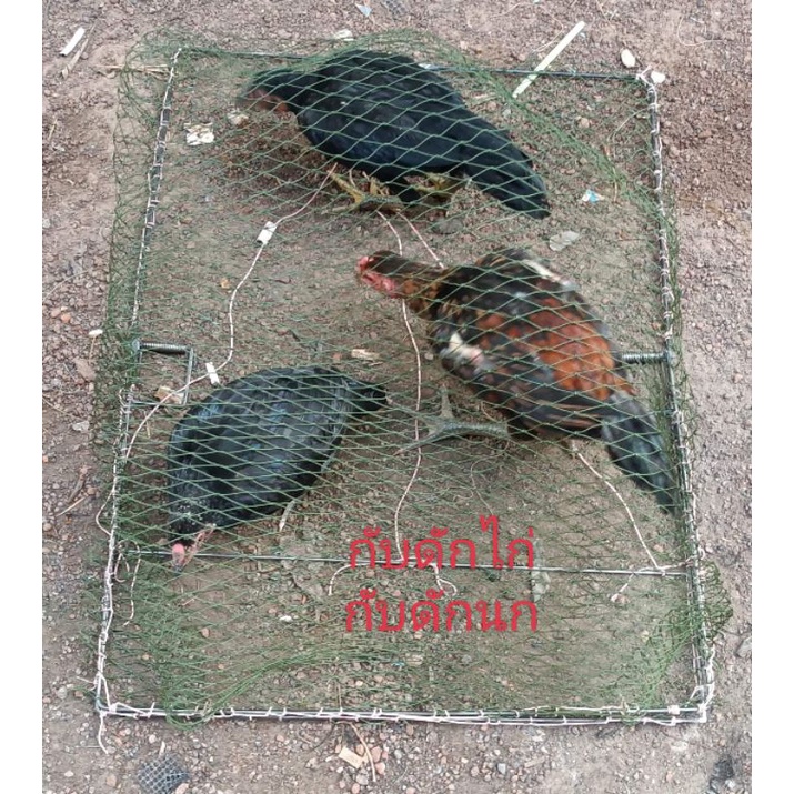 กับดักไก่แบบตาข่ายและกับดักนกทุกชนิดขนาดกว้าง 54 เซนยาว 74 เซนน้ำหนักเบานกติดแล้วไม่หลุดใช้งานได้นานหลายปี