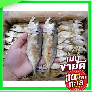 ราคาปลาทูหอมแพ็คแบ่งขาย1ตัว