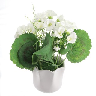 บีโกเนียสีขาวในกระถางเซรามิก ARTIFICIAL BEGONIA IN CERAMIC POT WHITE