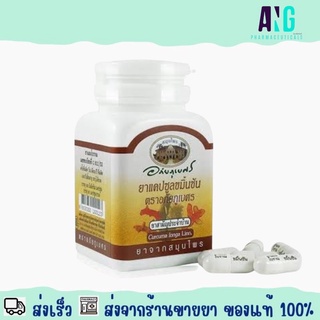 Turmeric Capsules Abhaibhubejhr Brand 60 Capsules ขมิ้นชัน ชนิดแคปซูล ตราอภัยภูเบศร 60 แคปซูล