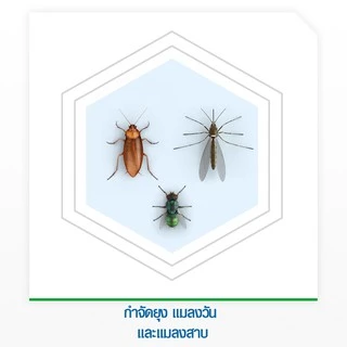 ไบกอนสเปรย์สูตรน้ำ กำจัดแมลงคลาน 600มล. Baygon Waterbase Crawling Insect Killer Aerosol Spray 600ml