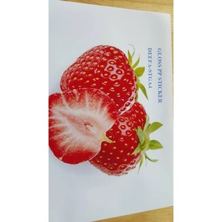 สติ๊กเกอร์พลาสติกผิวมันเงา ขนาด A3+ GLOSSY PLASTIC STICKER INKJET A3+ จำนวน 20 แผ่น DEEFA-STGA3+