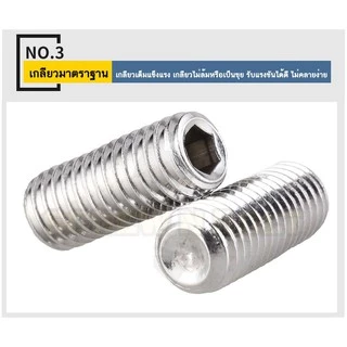 สกรู ตัวหนอน หกเหลี่ยม ปลายตัด สแตนเลส 304 เกลียวมิล หยาบ M6 / Hex Socket Set Screw w/ Cup Point M6