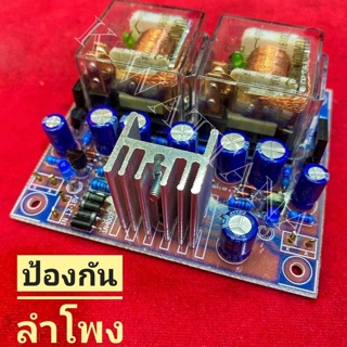 ป้องกันลำโพง ข้างละ 100A รุ่น PT-100ST