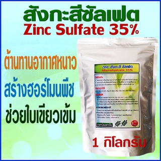 สังกะสีซัลเฟต 35% เป็นธาตุอาหารสำหรับพืช ช่วยสร้างฮอร์โมนพืช ช่วยต้านทานหนาว ร้อนแล้ง ช่วยสังเคราะห์แสง พืชใบเขียว 1 กก.