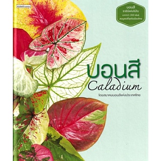 บอนสี Caladium (ปกแข็ง) ลดจากราคาเต็ม 575