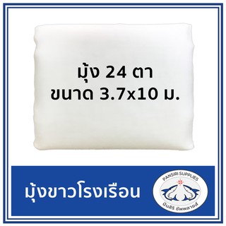 มุ้งขาว 24ตา ขนาด 3.7x10เมตร มุ้งขาวโรงเรือน มุ้งกันแมลง