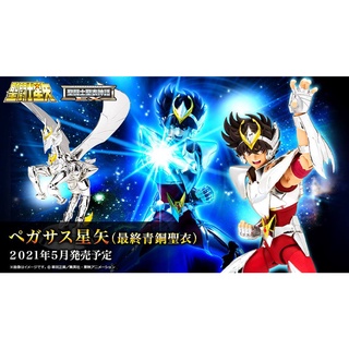 Saint Cloth myth EX Pegasus Seiya (Final Bronze Cloth)