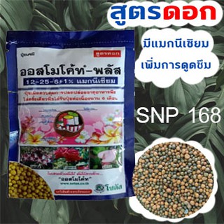 ออสโมโค้ทพลัส (Osmocote-plus) สูตร 12-25-6+1% magnesium ปุ๋ยละลายช้า สูตร 6เดือน (ขนาดซอง 100กรัม)