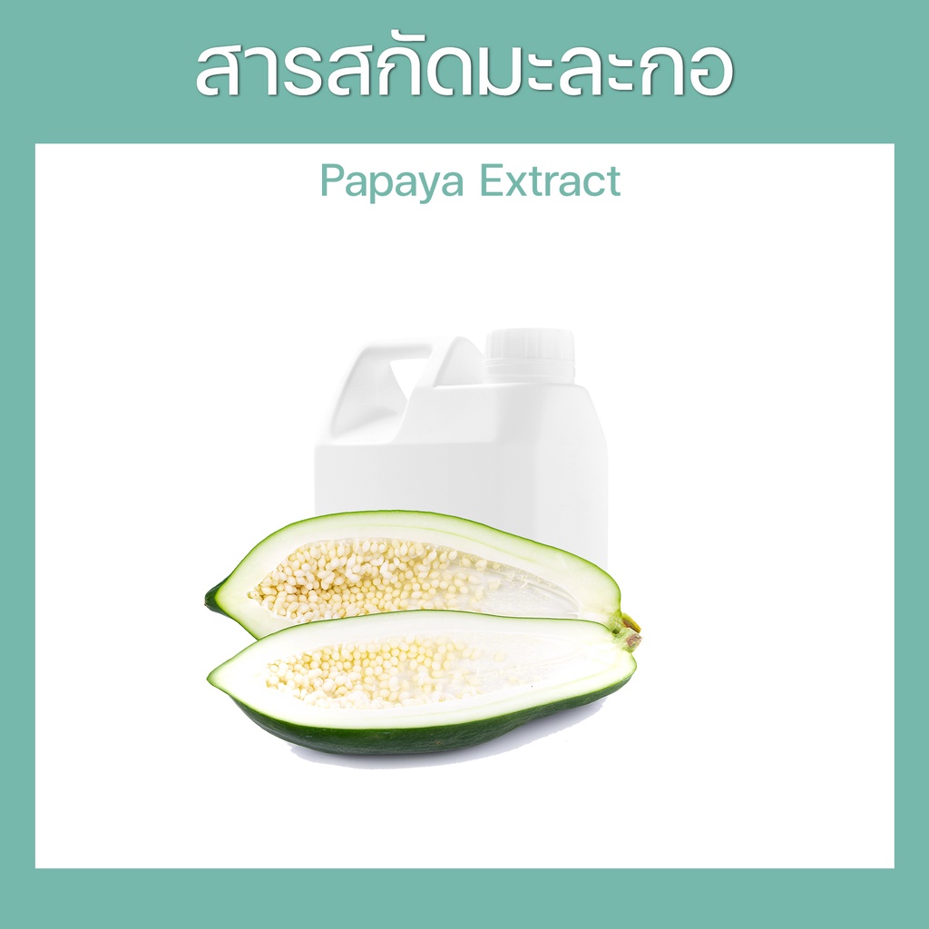 สารสกัดมะละกอ Papaya Extract ( Carica papaya fruit ) ชนิดน้ำ สำหรับผสมเครื่องสำอาง ขนาด 500-1000 มล.