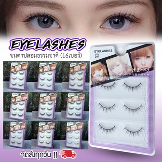 ขนตาปลอมธรรมชาติ EyeLashes เบอร์1-16 รุ่นกล่องใส ขนตานิ่ม สวย เบาสบาย