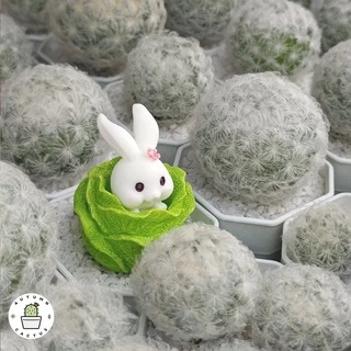 🐇 ตุ๊กตากระต่าย ชุดกระต่ายเก็บผัก ตุ๊กตาประดับกระถาง แต่งสวน ตั้งโช ขนาดเล็ก น่ารัก 🐇