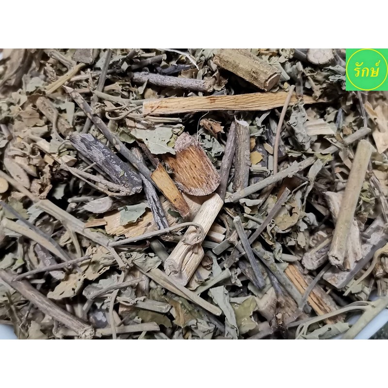 รูปภาพ 5