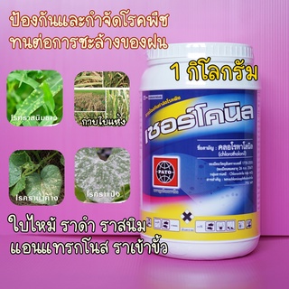 คลอโรทาโลนิล #เซอร์โคนิล #ดาโคนิล (สารเดียวกับดาโคนิล) ยาเชื้อราสูตรทนฝน ป้องกันราน้ำค้าง ราสนิม ราดำ ใบจุด แอนแทรกโนส