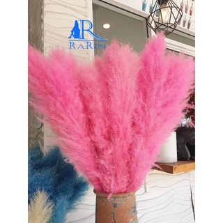 Rarin ดอกเลาย้อมสี (สีชมพู20ก้าน) ขนาด 80-90 cm. เป็นดอกไม้ธรรมชาติ  ดอกฟุ้งฟิ้ง ใช้ประดับห้อง ร้าน งานแต่ง