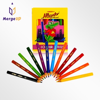 สีไม้ อัลลิเกเตอร์ Alligator 12 สี 1 หัว แท่งสั้น จระเข้ ชุดดินสอสี