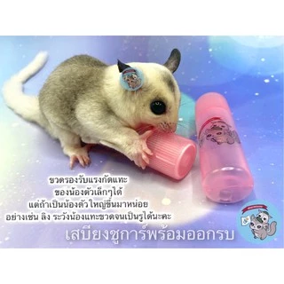 V ( ขวดนมเชคเกอร์ ) SHAKER ขวดนมชูการ์ ขวดนม ขวดนมสัตว์เล็ก ขวดนมสัตว์เลี้ยง ขวดนมพกพา ขวดนมกระรอก ขวดนมดอร์เมาส์
