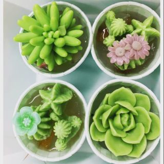 วุ้นแคคตัส🌵🌸 SET 4 CUPS 🌵🌸 ทักแชทก่อนซื้อนะคะ 🌵🌸