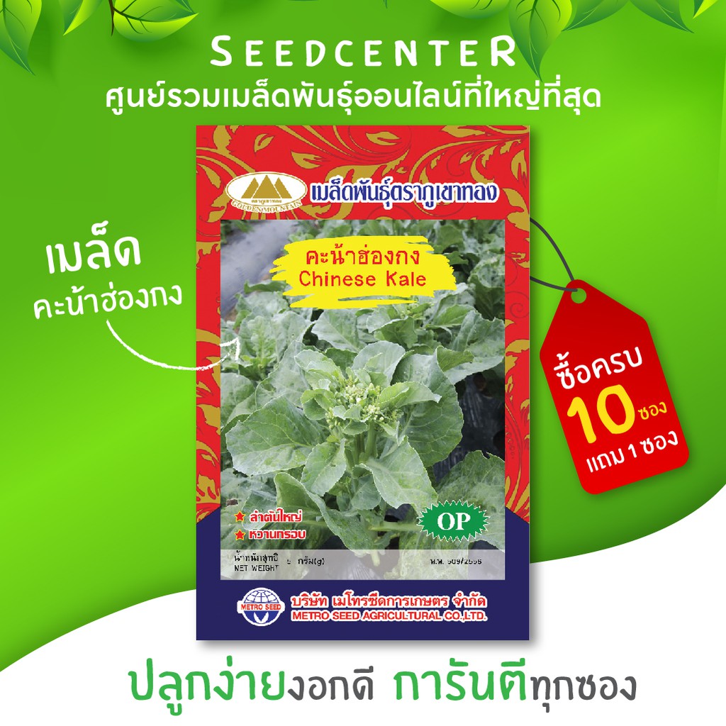 เมล็ดคะน้าฮ่องกง ขนาด 0.5 กรัม ภูเขาทอง