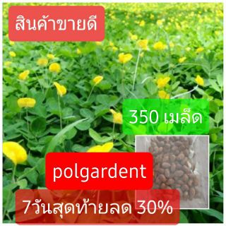 เมล็ดพันธุ์ถั่วบราซิล🌼🌼 บรรจุ 350เมล็ด ไม้ดอกไม้ประดับ จัดสวน พืชคลุมดิน บำรุงดิน ตกแต่งระเบียงตกแต่งสวน สนามหญ้า💐🏵