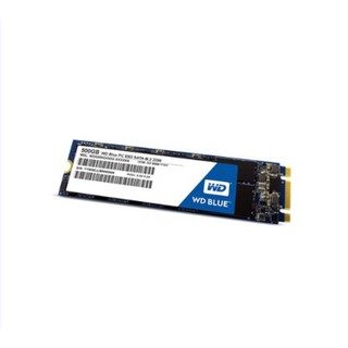 WD SSD 500GB-M.2 3DNAND 5YEAR Model : WDSSD500GB-M.2-3D-5YEAR