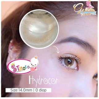 Hidrocor brown by TATOTO Contact Lenses บิ๊กอาย #25