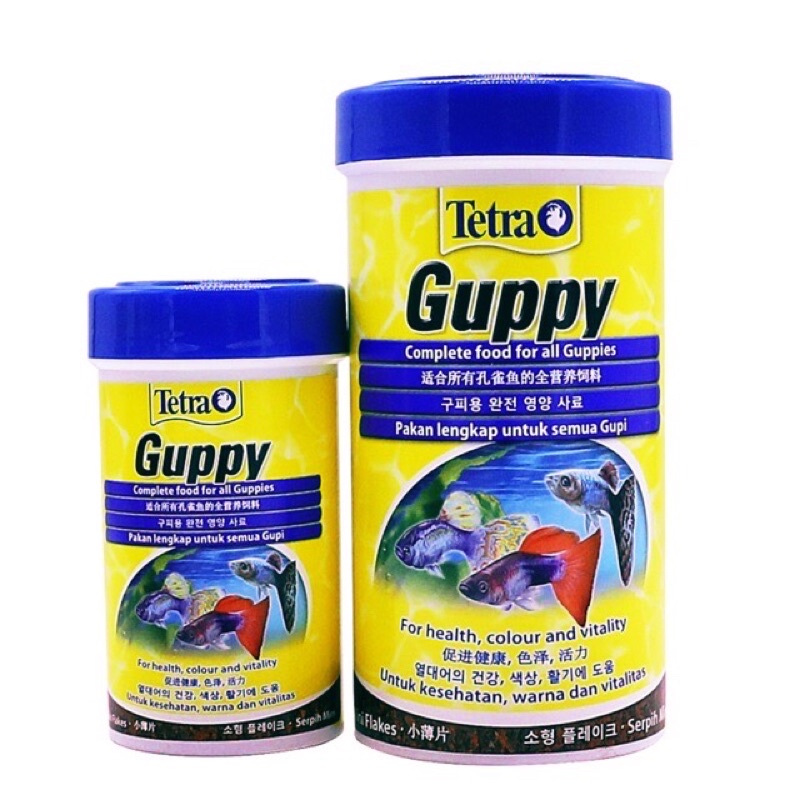 Tetra guppy อาหารปลาเม็ด makanan ikan guppy XHGB XHADF