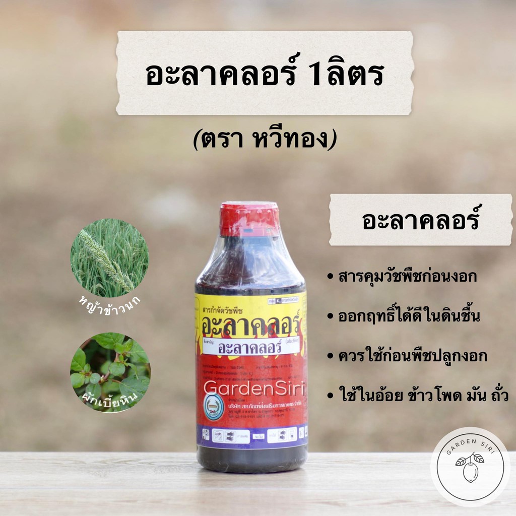 อะลาคลอร์ สารคุมวัชพืชใบแคบใบกว้าง ใช้ก่อนวัชพืชงอก ตราหวีทอง ขนาด 1ลิตร