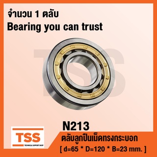 N213 ตลับลูกปืนเม็ดทรงกระบอก (Cylindrical Roller Bearings) N 213