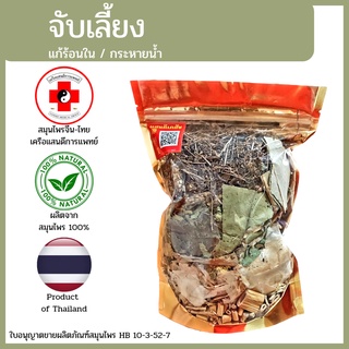 [แสนดีเภสัช] สมุนไพร จับเลี้ยง อย่างดี