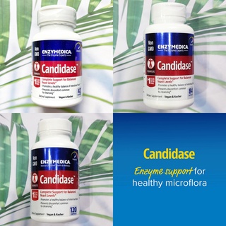 59% OFF ราคา Sale!! EXP:12/2023 (Enzymedica®) Candidase 42, 84 or 120 Capsules อาหารเสริม แคนดิดาส สุขภาพของลำไส้