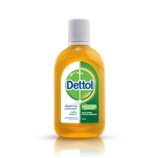 ✨คุ้มสุดๆ✨ DETTOL เดทตอล น้ำยาทำความสะอาดพื้นผิว ไฮยีน มัลติยูส 250 มล. 🚚พร้อมส่ง!! 💨