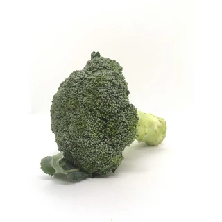 บร็อคโคลี่ 1หัว 250-300กรัม - ผักผลไม้สด Broccoli